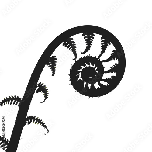 Fern frond unfurling silhouette black and white botanical nature plant growth spiral design art print 
