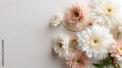 Beautiful arrangement of delicate white and soft pink flowers on a light background, showcasing natural elegance and floral artistry for decoration. Selective focus