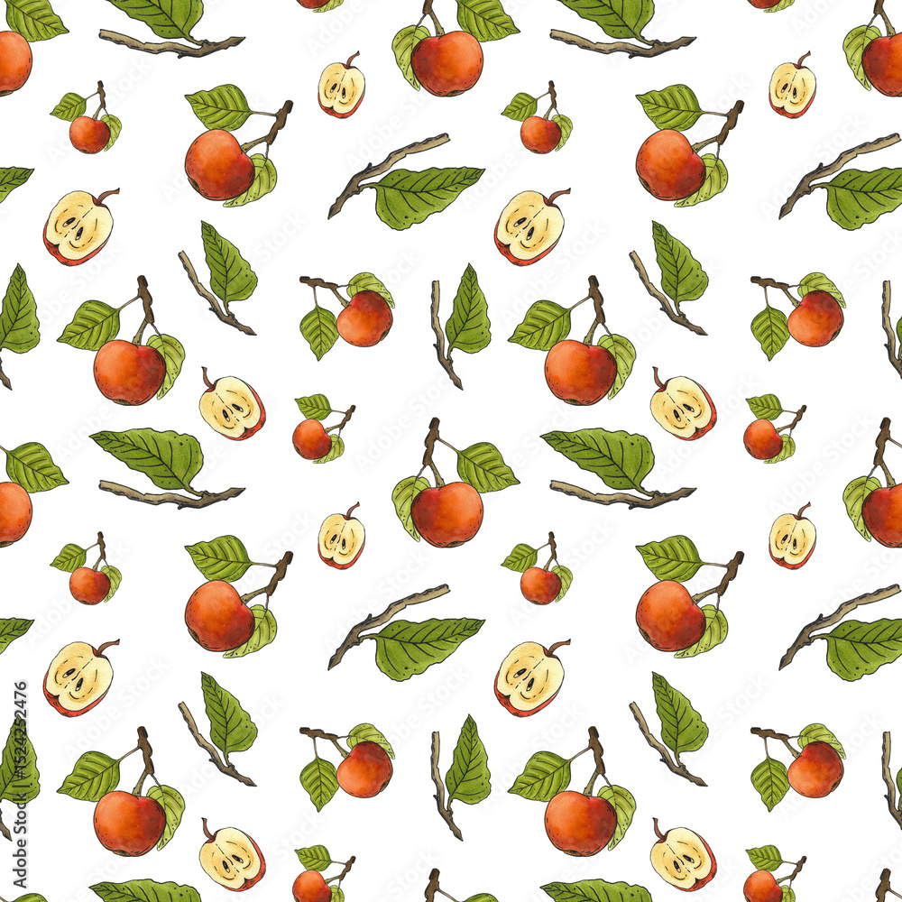 Obraz premium Watercolor illustration with apples. Fruits hand drawn isolated on white background