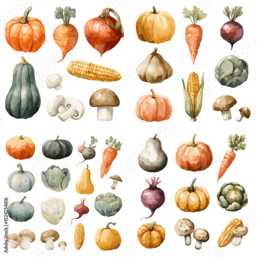 Watercolor illustration of autumn vegetables including pumpkins, carrots, mushrooms, garlic, corn, and squash. Perfect for harvest, farming, and seasonal food designs.

