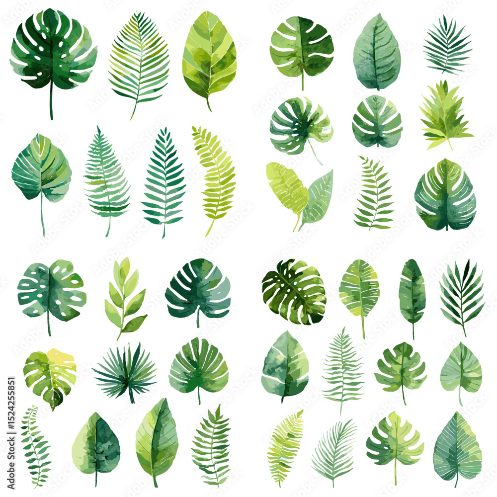 Collection of watercolor tropical and jungle leaves in various green tones. Hand-painted botanical illustrations on clean white background.
Collection of watercolor tropical and jungle leaves in various green tones. Hand-painted botanical illustrations on clean white background.