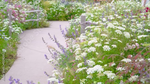 Wallpaper Mural 様々な草や花が咲き乱れる庭園の遊歩道（神奈川県綾瀬市 光綾公園「あやせローズガーデン」）　
A promenade in the garden where various grasses and flowers bloom. 
(Ayase Rose Garden, Kouya Park, Ayase City, Kanagawa Prefecture) Torontodigital.ca