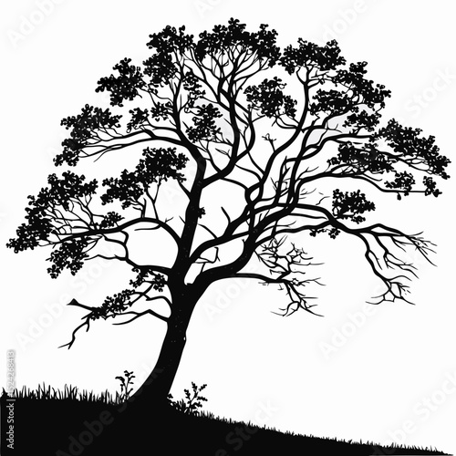Majestic silhouette of a lone tree on hillside