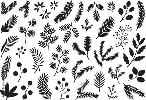 Hand-Drawn Rustic Pine Branch and Winter Botanicals Collection