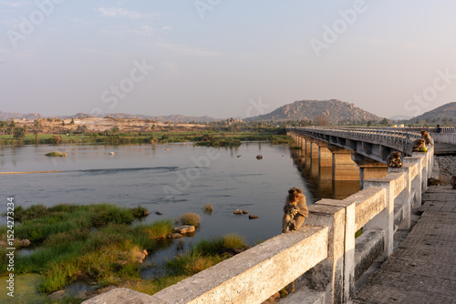 Wallpaper Mural Monkeys Sitting on Bukkasaagara Aanegundi Bridge Over River at Sunset, Hampi, India Torontodigital.ca