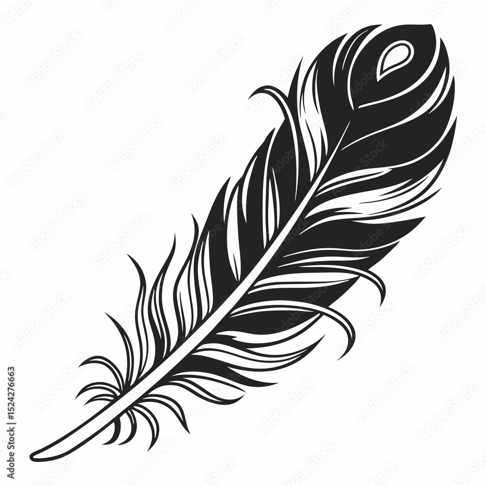 Obraz premium Elegant black and white single peacock feather illustration