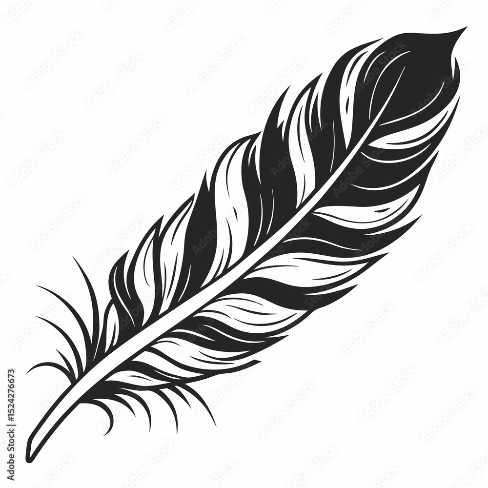 Obraz premium Single elegant black and white feather illustration