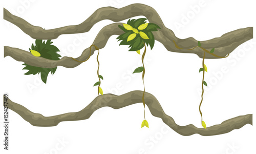 vines with separate white background