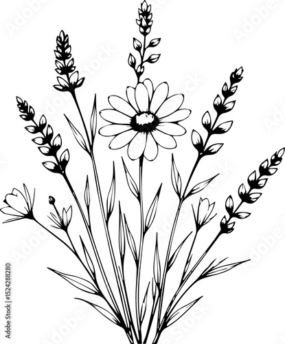 Hand-Drawn Wildflowers and Lavender Line Art Illustration