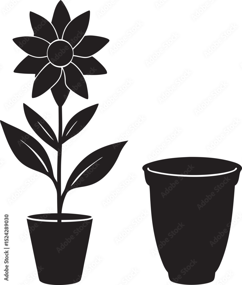 plant in pot plant in pot