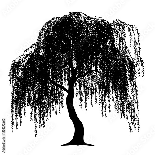 a black and white silhouette of a willow tree black, silhouette, tree, willow tree , Generative art.