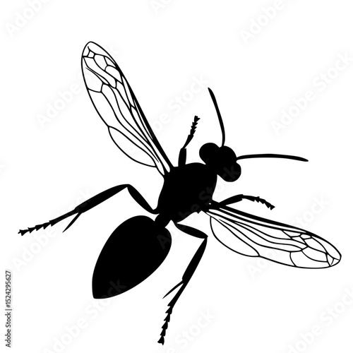 a black and white silhouette of an insect on a transparent background black, fly, illustration, insect, silhouette, wing , Generative art.
