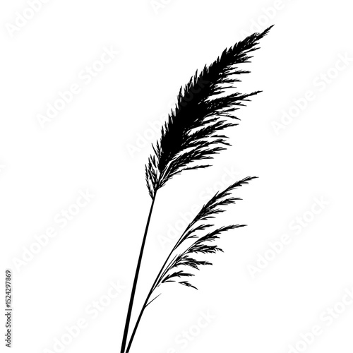 a black and white silhouette of a blade of grass or reed in the wind black, blade, feather, grass, plant, reed, silhouette, wind , Generative art.