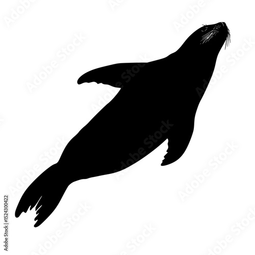 a black silhouette of a seal on a transparent background black, sea lion, seal, silhouette , Generative art.