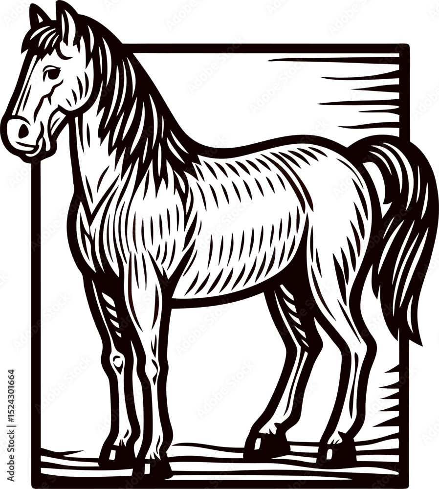 Fototapeta premium Engraved illustration of standing horse in vintage with textured lines and detailed mane inside square frame