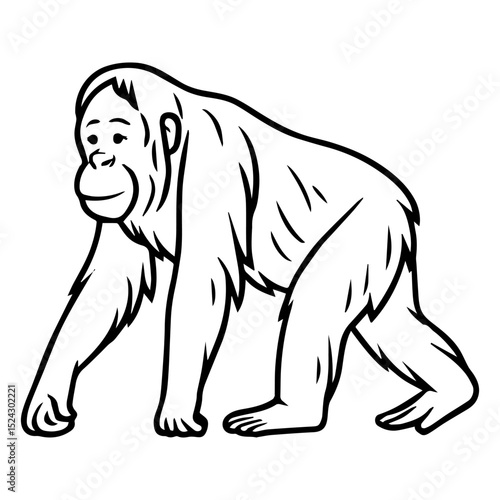 orangutan vector realistic line icon on white background
Vector line icon animal, wildlife