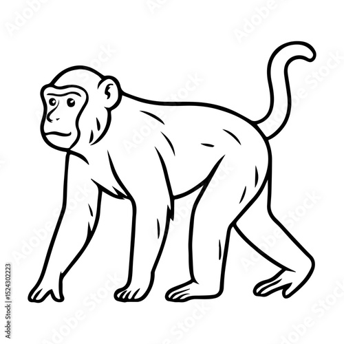 macaque vector realistic line icon on white background
Vector line icon animal, wildlife