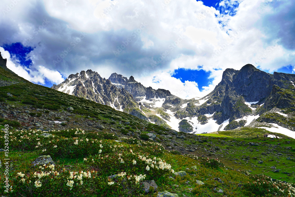 Fototapeta premium One of the most beautiful paths in the Kaçkar Mountains National Park. An experience that starts from Avusor Plateau and offers unique views. Çamlıhemşin, Rize, Türkiye