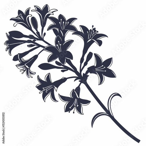 black and white syringa