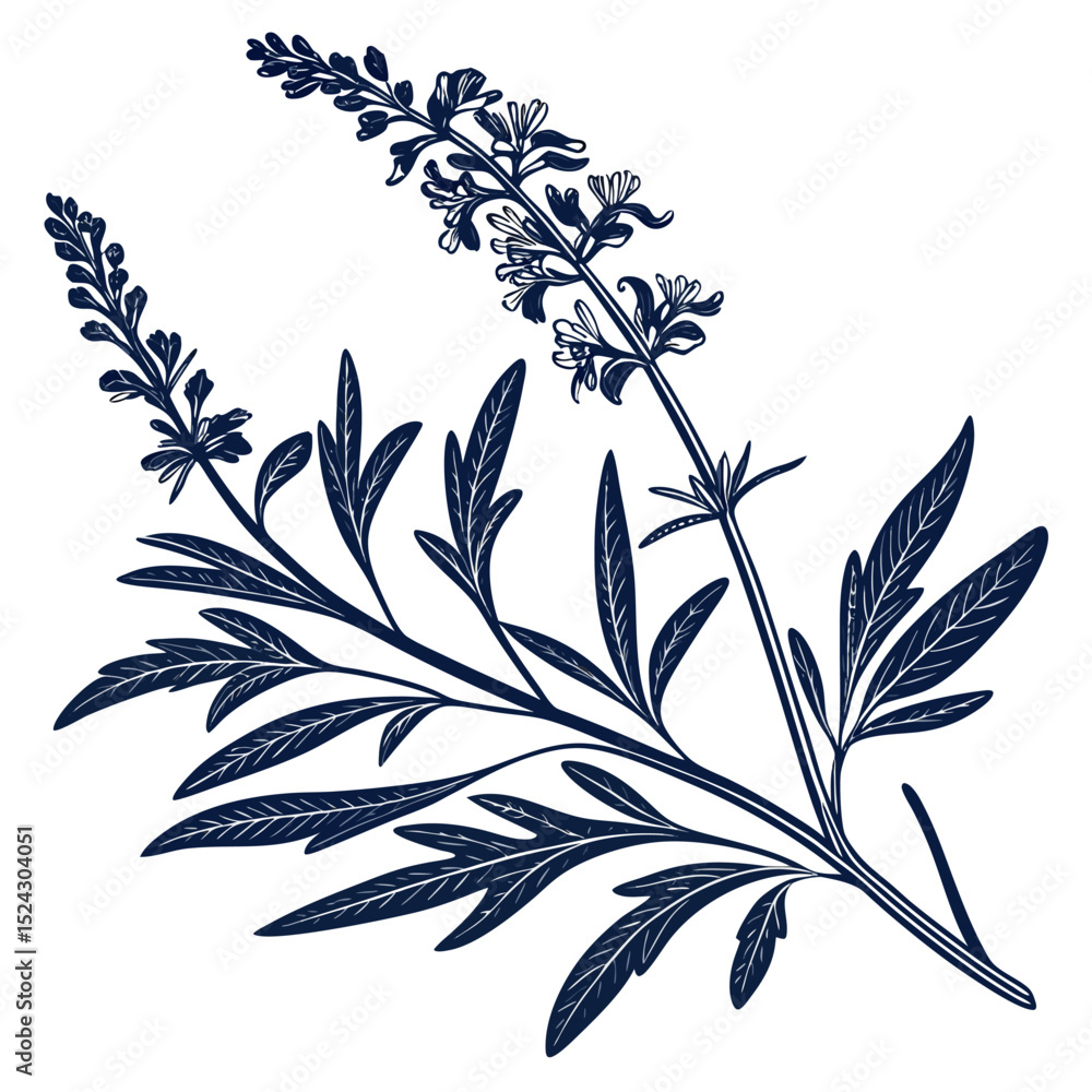 Fototapeta premium black and white sage 
