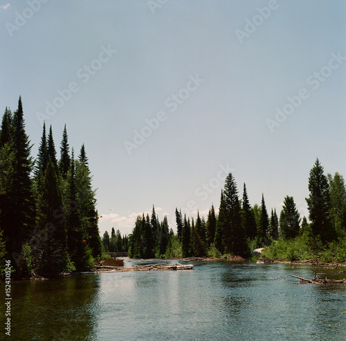 Wallpaper Mural Jenny lake at grand teton Torontodigital.ca
