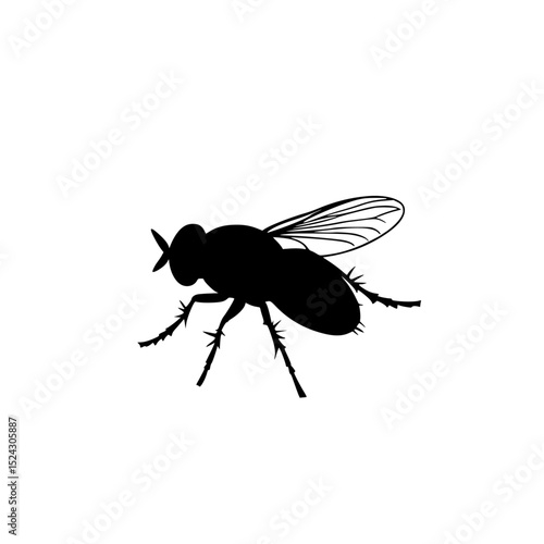 a black silhouette of a fly on a transparent background black, fly, icon, insect, silhouette , Generative art.