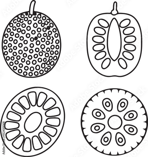 Whole Breadfruit Vector with Green Bumpy Skin for Exotic Tropical Fruit and Healthy Food Icons