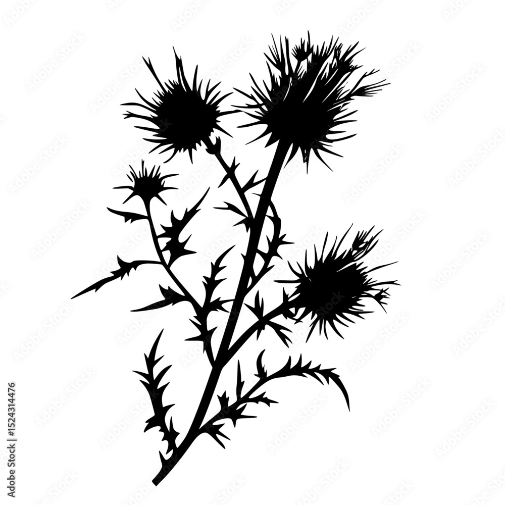 Obraz premium a black and white picture of a plant, an icon on a transparent background black, flower, icon, illustration, picture, plant, silhouette, white , Generative art.