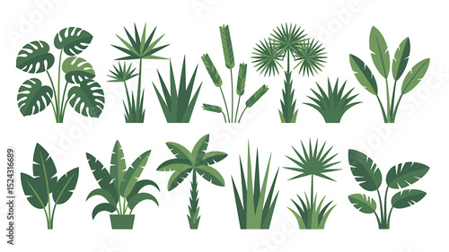 A Flat Minimalist Illustration of Various Tropical Plants A Collection of Green Foliage