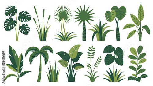 A Flat Minimalist Illustration of Various Tropical Plants A Collection of Green Foliage