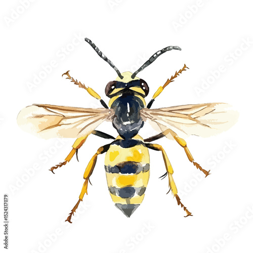 Watercolor Illustration of a Detailed Wasp with Striking Yellow and Black Markings