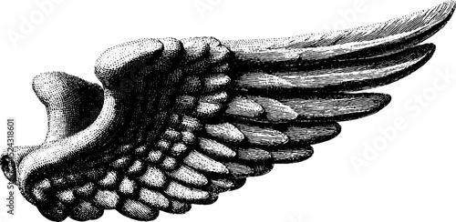 Engraved illustration of winged nike sculpture for artistic designs