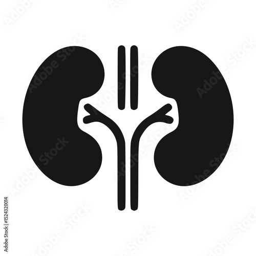 Kidney Icon (Flat Style)