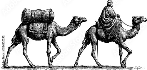 Arabian camel caravan engraving set for historical and cultural design