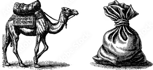 Engraved illustration of arabian camel caravan with cargo for historical design