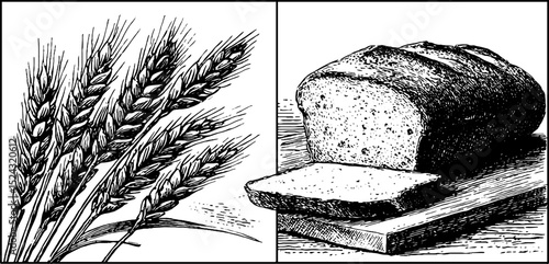 Vintage engraved illustration of baguette and wheat for culinary and bakery design