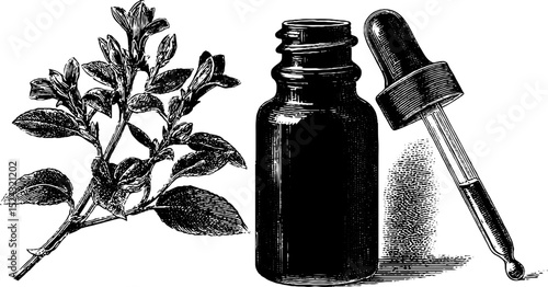 Vintage botanical engraving of bitter bottle with dropper and plant illustration for design