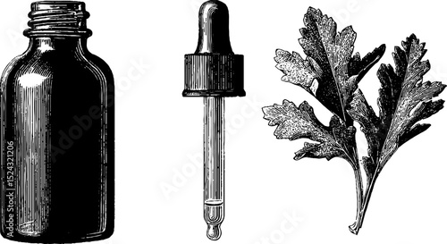 Vintage engraved set featuring bitter bottle, dropper, and herb illustration for design