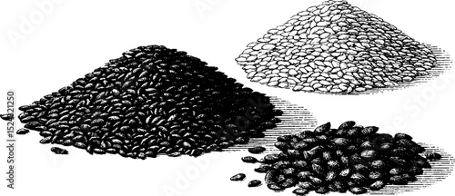 Engraved black and white sesame seed illustrations for culinary and artistic design