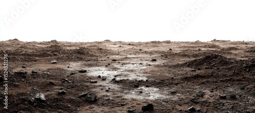 A desolate, rocky expanse under a bright, white sky, showing uneven terrain with scattered rocks and patches of what appears to be moisture or frost