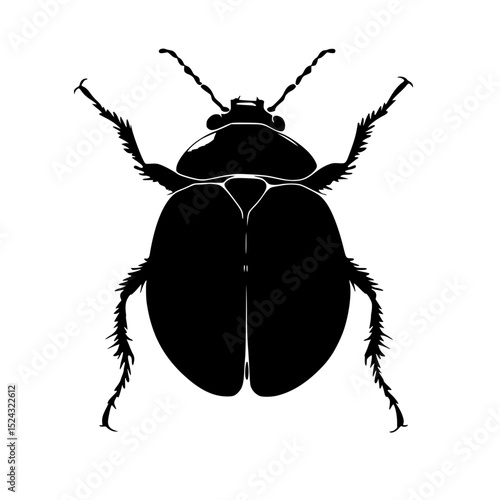 a black and white drawing of a bug on a transparent background beetle, black, bug, drawing, illustration, silhouette , Generative art.