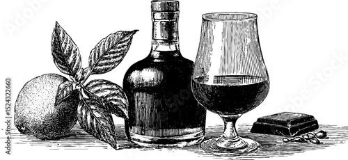 Engraved illustration set featuring cognac bottle with snifter, citrus, and chocolate elements