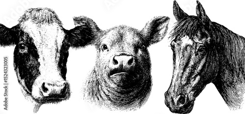 Engraved animal heads collection: cow, pig, and horse for farmhouse decor