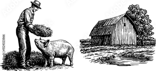 Rural farming scene with farmer feeding pig and rustic barn illustration