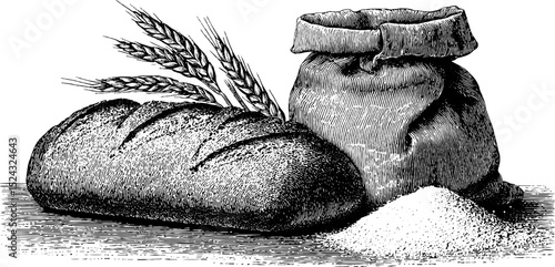 Engraved illustration of fresh bread loaf with wheat and flour