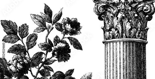 Elegant french louis xvi style architectural engravings for historical design inspirations