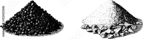 Vintage engraved illustration of black peppercorns and ground pepper for culinary design