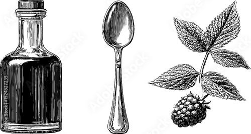 Vintage engraved set featuring liqueur bottle, spoon, and raspberry branch design for print