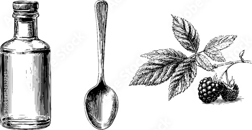 Vintage engraving of liqueur bottle, spoon, and raspberry leaves for culinary design