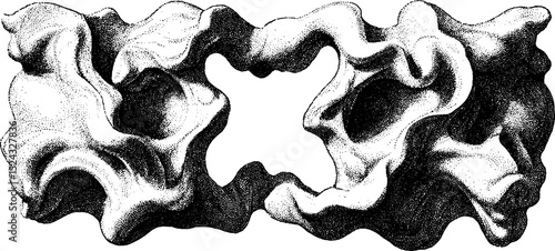 Intricate engraved illustration of morphing dual vessel design for artistic inspiration